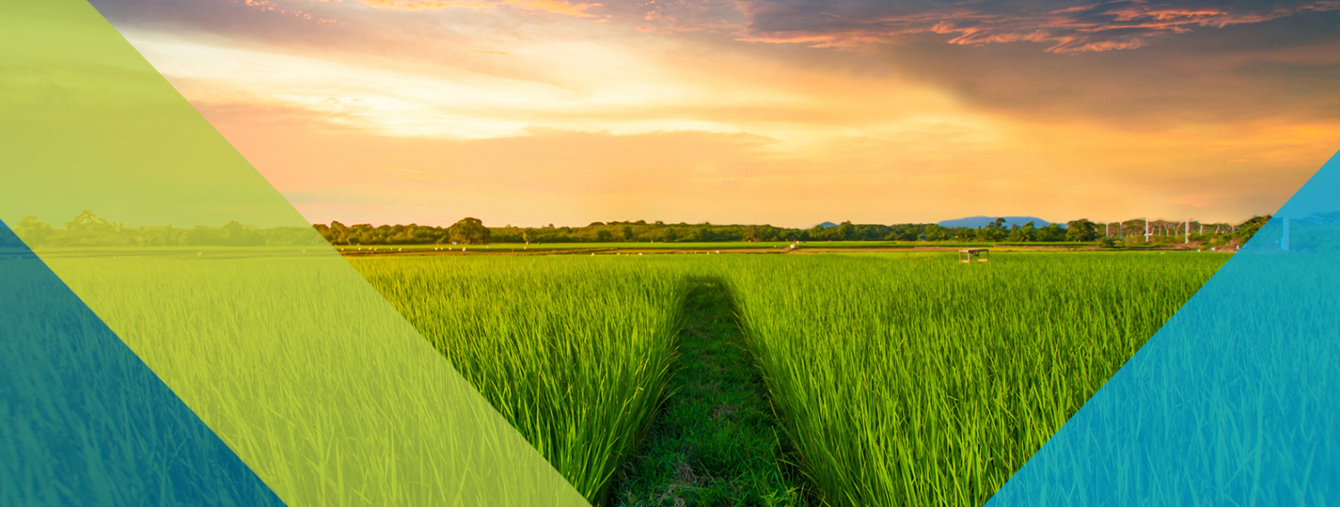 CMSP - County Medical Services Program